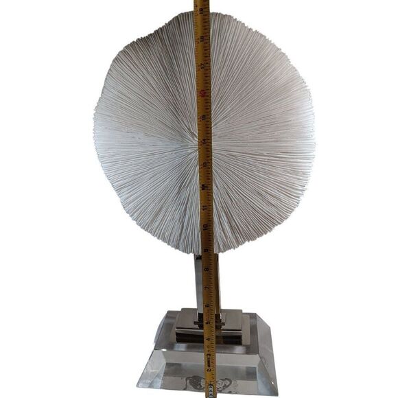 Large 12" Mushroom Coral Real Display Piece n Acrylic Base Beach Nautical Decor - Picture 5 of 7